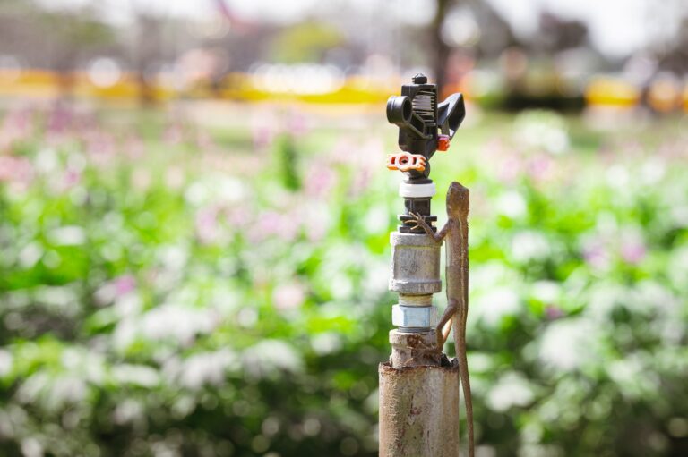 Jak prawidłowo zamontować kran ogrodowy na zimę