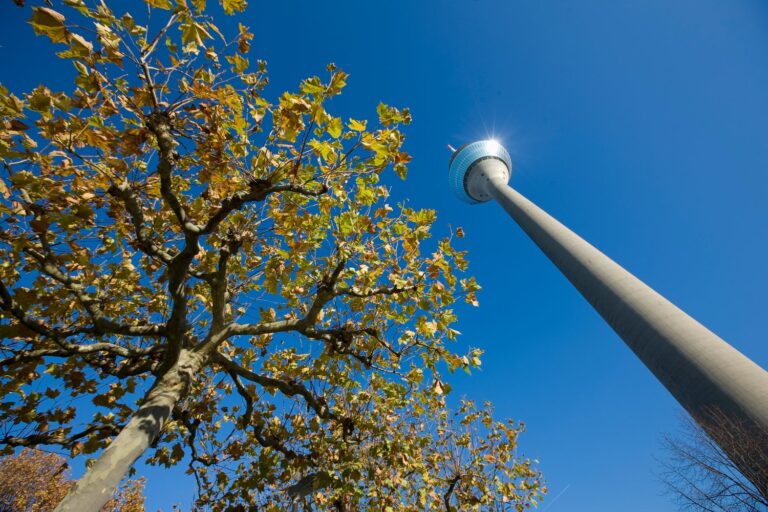 Jak wybrać odpowiednie słupy stalowe do montażu oświetlenia zewnętrznego