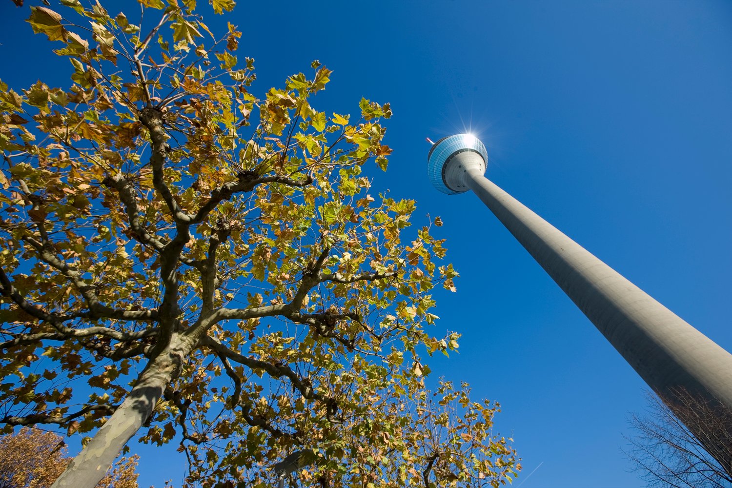 Jak wybrać odpowiednie słupy stalowe do montażu oświetlenia zewnętrznego