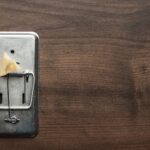 Kiedy wymieniać stare gniazda na modele z uziemieniem