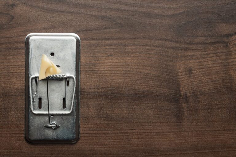 Kiedy wymieniać stare gniazda na modele z uziemieniem