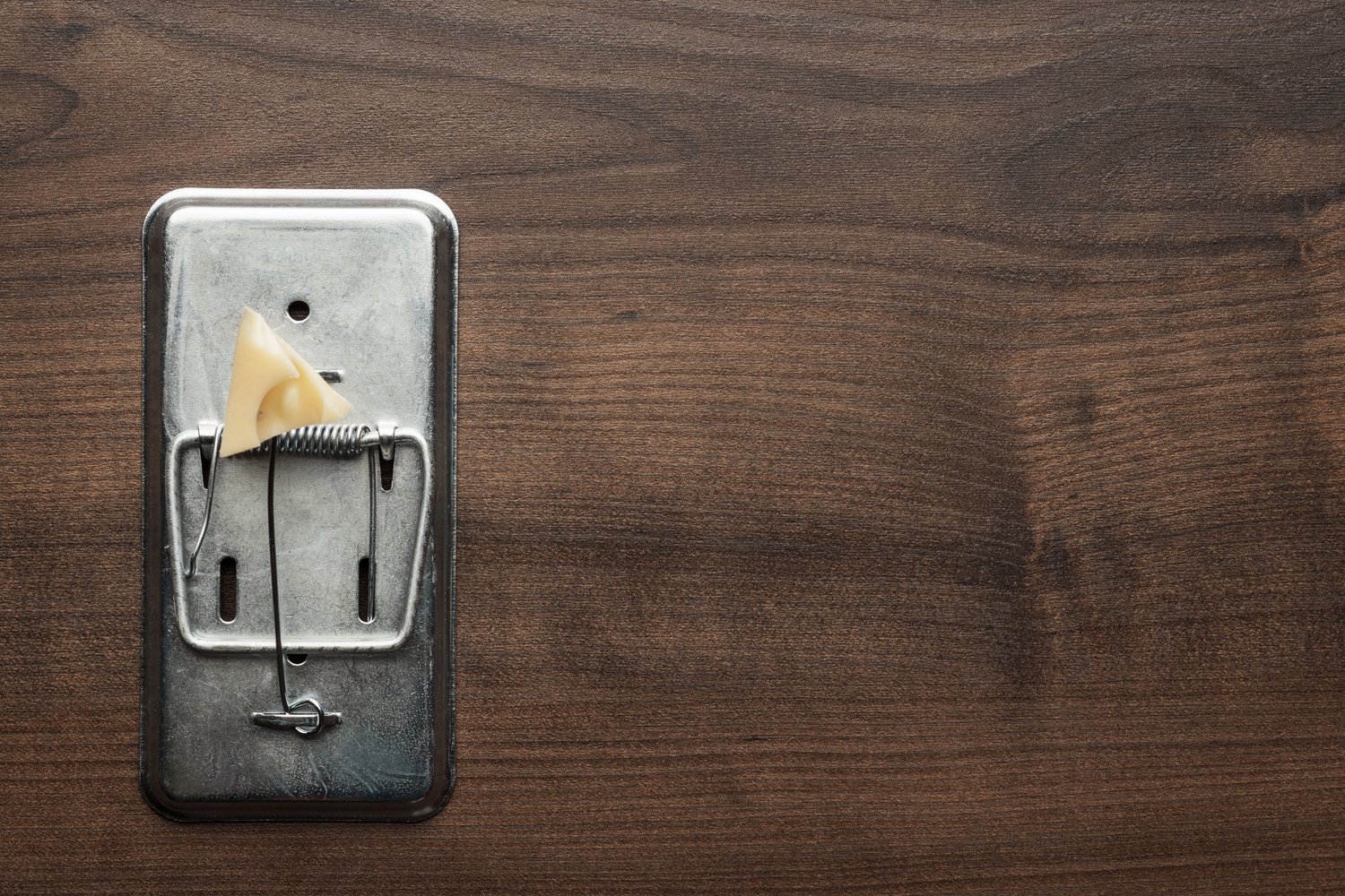 Kiedy wymieniać stare gniazda na modele z uziemieniem